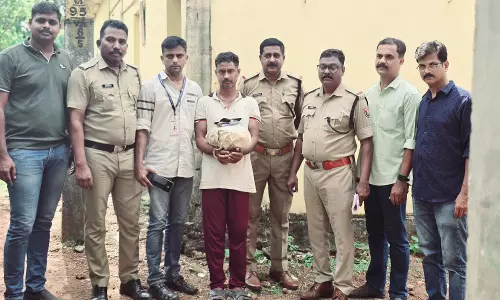 വേങ്ങരയില് ഒരു കിലോ കഞ്ചാവുമായി ജാര്ഖണ്ഡ് സ്വദേശി പിടിയില് വേങ്ങരയില് ഒരു കിലോ കഞ്ചാവുമായി ജാര്ഖണ്ഡ് സ്വദേശി പിടിയില്