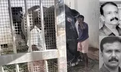ക്ഷേത്രത്തിലെ അന്നദാനത്തിനിടെ ആനയുടെ ആക്രമണം; തമിഴ്‌നാട്ടില്‍ മലയാളിയടക്കം രണ്ടു പേര്‍ മരിച്ചു