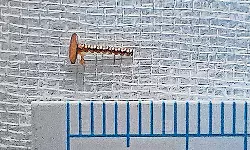 വിട്ടുമാറാത്ത പനിയും ചുമയും; ശ്വാസകോശത്തില്‍ നിന്ന് പുറത്തെടുത്തത് മൂക്കുത്തിയുടെ ശങ്കീരി