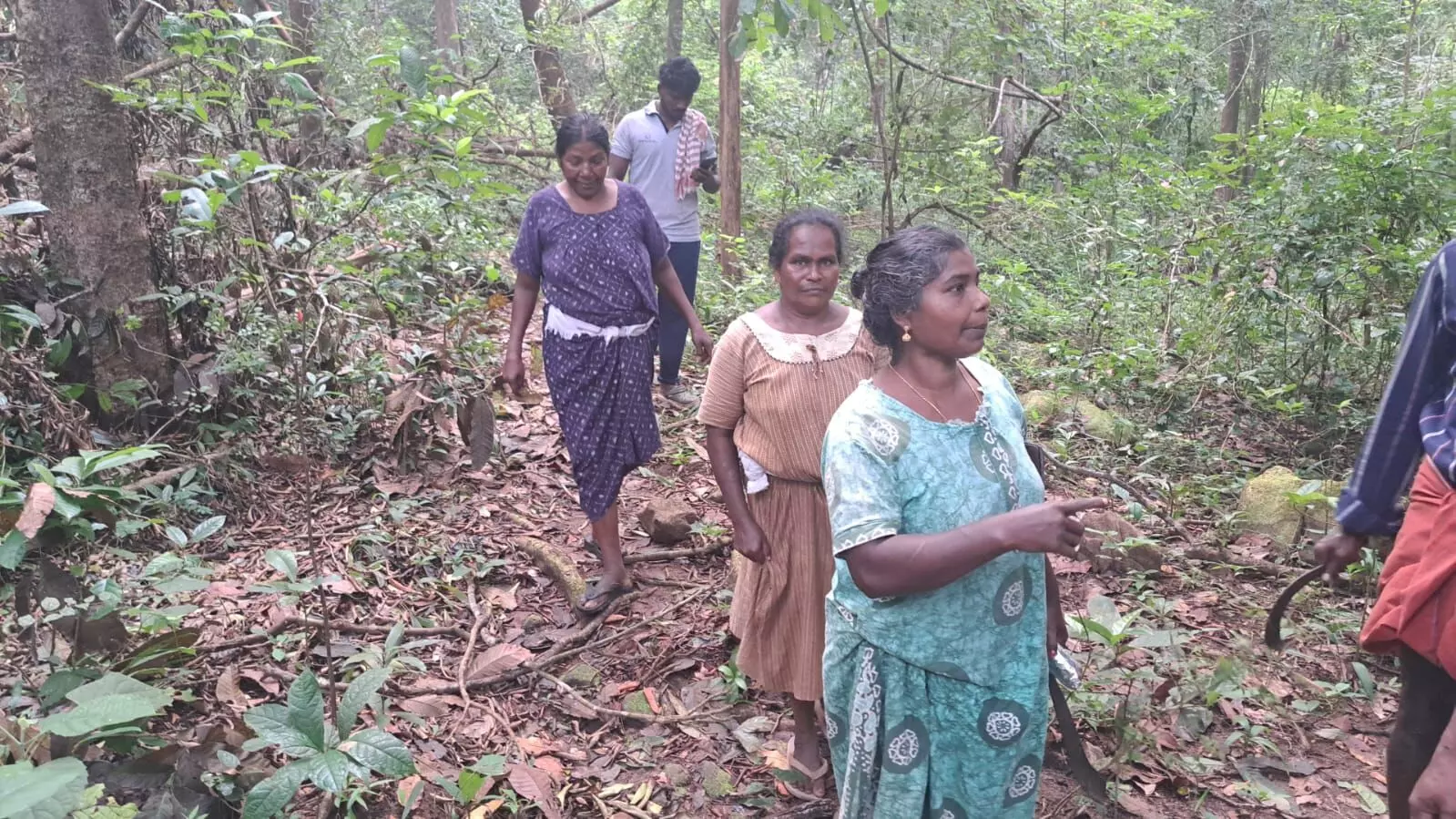 വലിയൊരു പാറയിലാണ് കയറി ഒളിച്ചത്. ആന എത്ര ശ്രമിച്ചാലും പിടിക്കാന് പറ്റാത്ത ഉയരത്തിലുള്ളതാണ് പാറ: വനത്തിലകപ്പെട്ട സ്ത്രീകള് വലിയൊരു പാറയിലാണ് കയറി ഒളിച്ചത്. ആന എത്ര ശ്രമിച്ചാലും പിടിക്കാന് പറ്റാത്ത ഉയരത്തിലുള്ളതാണ് പാറ: വനത്തിലകപ്പെട്ട സ്ത്രീകള്