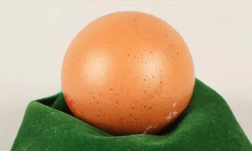 അപൂര്വ്വ മുട്ട 21,000 രൂപക്ക് ലേലത്തില് പോയി അപൂര്വ്വ മുട്ട 21,000 രൂപക്ക് ലേലത്തില് പോയി