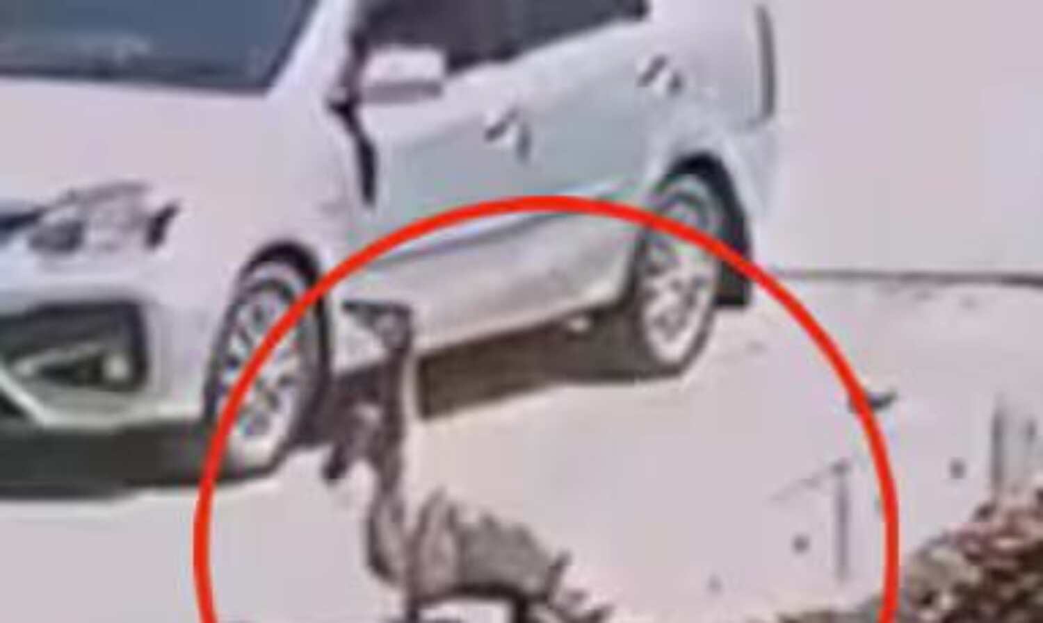 ഓടയില് വീണ് സ്ത്രീക്ക് ഗുരുതര പരുക്ക് ഓടയില് വീണ് സ്ത്രീക്ക് ഗുരുതര പരുക്ക്