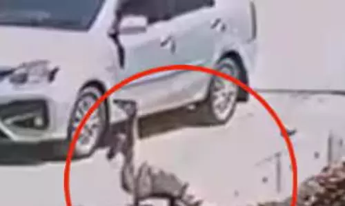 ഓടയില്‍ വീണ് സ്ത്രീക്ക് ഗുരുതര പരുക്ക്