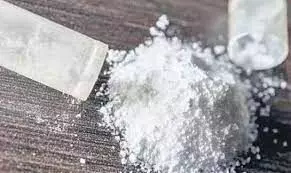 വയനാട്ടില്‍ 50 ലക്ഷത്തിന്റെ എംഡിഎംഎ പിടികൂടി; രണ്ട് പേര്‍  പിടിയില്‍