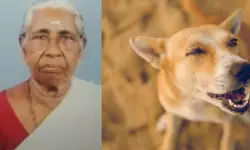 പുറത്തു കിടത്തി വീടു പൂട്ടി; വയോധികയെ തെരുവുനായ കടിച്ച് കൊന്ന സംഭവത്തില്‍ നിര്‍ണായക കണ്ടെത്തല്‍