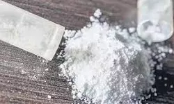 വയനാട്ടില്‍ 50 ലക്ഷത്തിന്റെ എംഡിഎംഎ പിടികൂടി; രണ്ട് പേര്‍  പിടിയില്‍