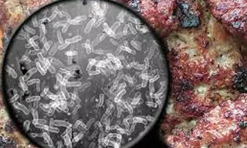 സ്കൗട്ട് ആന്ഡ് ഗൈഡ് കാംപില് ഭക്ഷ്യവിഷബാധ; 46 വിദ്യാര്ഥികള് ആശുപത്രിയില് സ്കൗട്ട് ആന്ഡ് ഗൈഡ് കാംപില് ഭക്ഷ്യവിഷബാധ; 46 വിദ്യാര്ഥികള് ആശുപത്രിയില്