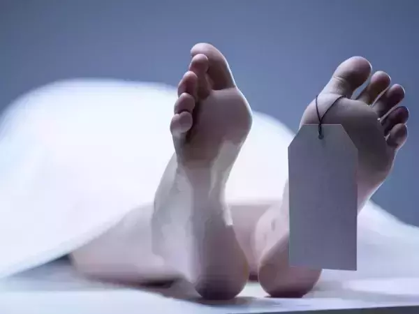 ആടിന് തീറ്റ ശേഖരിക്കാന് മരത്തില് കയറിയ യുവാവ് വൈദ്യുതാഘാതമേറ്റ് മരിച്ചു ആടിന് തീറ്റ ശേഖരിക്കാന് മരത്തില് കയറിയ യുവാവ് വൈദ്യുതാഘാതമേറ്റ് മരിച്ചു