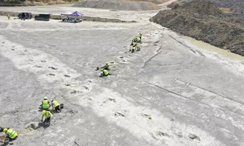 ഡൈനസോര് ഹൈവേ കണ്ടെത്തി; 16.6 കോടി വര്ഷം പഴക്കമെന്ന് ഗവേഷകര് (Video) ഡൈനസോര് ഹൈവേ കണ്ടെത്തി; 16.6 കോടി വര്ഷം പഴക്കമെന്ന് ഗവേഷകര് (Video)