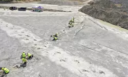 ഡൈനസോര് ഹൈവേ കണ്ടെത്തി; 16.6 കോടി വര്ഷം പഴക്കമെന്ന് ഗവേഷകര് (Video) ഡൈനസോര് ഹൈവേ കണ്ടെത്തി; 16.6 കോടി വര്ഷം പഴക്കമെന്ന് ഗവേഷകര് (Video)