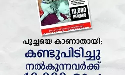 പൂച്ചയെ കാണാതായി; കണ്ടുപിടിച്ചു നല്‍കുന്നവര്‍ക്ക് 10,000 രൂപ വാഗ്ദാനം ചെയ്ത് പഴക്കച്ചവടക്കാരന്‍