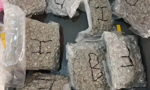 നാലരക്കോടിയുടെ കഞ്ചാവുമായി മലയാളികള്‍ പിടിയില്‍