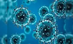 ബെംഗളൂരുവിനും ഗുജറാത്തിനും പുറമെ ചെന്നൈയിലും എച്ച്എംപിവി ബാധ; ഇന്ത്യയില്‍ അഞ്ച് കേസുകള്‍