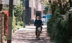 പോരുന്നോ എൻ്റെ കൂടെ... കളറാക്കാം, അൽപനേരം; കൂട്ട് നൽകി മോറിമോട്ടോ സമ്പാദിക്കുന്നത് ലക്ഷങ്ങൾ