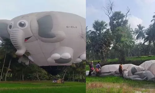 ഗ്യാസ് തീര്ന്നു; പാലക്കാട് ആന ബലൂണ് ഇടിച്ചിറക്കി, യാത്രക്കാര് സുരക്ഷിതര് ഗ്യാസ് തീര്ന്നു; പാലക്കാട് ആന ബലൂണ് ഇടിച്ചിറക്കി, യാത്രക്കാര് സുരക്ഷിതര്