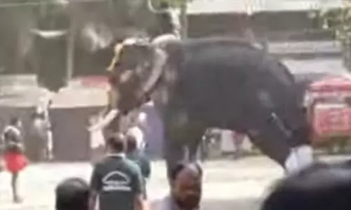 കണ്ണേങ്കാവ് പൂരത്തില്‍ ആന ഇടഞ്ഞു (വീഡിയോ)