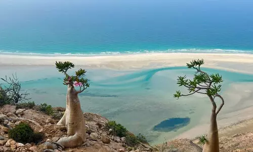 യെമന്റെ ഇന്ത്യന് മഹാസമുദ്രത്തിലെ ദ്വീപില് പുതിയ എയര്സ്ട്രിപ് വരുന്നതായി റിപോര്ട്ട് യെമന്റെ ഇന്ത്യന് മഹാസമുദ്രത്തിലെ ദ്വീപില് പുതിയ എയര്സ്ട്രിപ് വരുന്നതായി റിപോര്ട്ട്