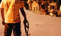 പശുമാംസം കഴിച്ചെന്ന് ആരോപിച്ച് ബജ്‌റംഗ്ദളുകാര്‍ വീടാക്രമിച്ചു; ഹിന്ദു യുവാവ് ആത്മഹത്യ ചെയ്തു