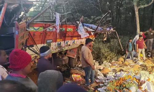 പച്ചക്കറി കയറ്റിപ്പോയ ലോറി മറിഞ്ഞ് പത്ത് മരണം (വീഡിയോ)