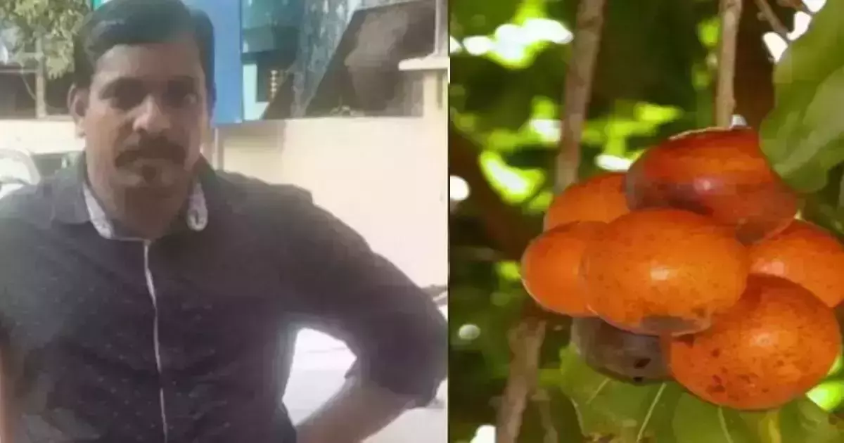 പാലക്കാട് കാഞ്ഞിരക്കായ കഴിച്ച യുവാവ് മരിച്ചു