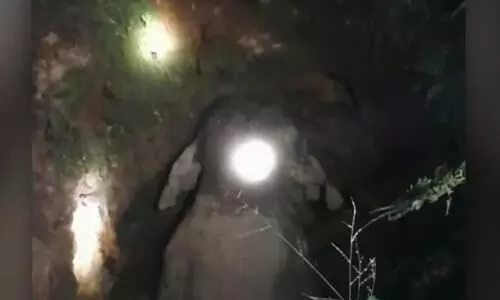 കാട്ടാന കിണറ്റില് വീണു കാട്ടാന കിണറ്റില് വീണു