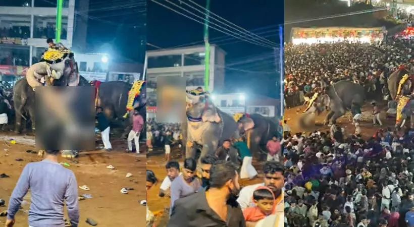 ബിപി അങ്ങാടി നേര്ച്ച: ആനയെഴുന്നള്ളിപ്പ് നടത്തിയതില് ഗുരുതര വീഴ്ച; അന്വേഷണ റിപോര്ട്ട് ബിപി അങ്ങാടി നേര്ച്ച: ആനയെഴുന്നള്ളിപ്പ് നടത്തിയതില് ഗുരുതര വീഴ്ച; അന്വേഷണ റിപോര്ട്ട്