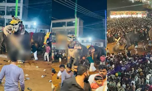 ബിപി അങ്ങാടി നേര്ച്ച: ആനയെഴുന്നള്ളിപ്പ് നടത്തിയതില് ഗുരുതര വീഴ്ച; അന്വേഷണ റിപോര്ട്ട് ബിപി അങ്ങാടി നേര്ച്ച: ആനയെഴുന്നള്ളിപ്പ് നടത്തിയതില് ഗുരുതര വീഴ്ച; അന്വേഷണ റിപോര്ട്ട്