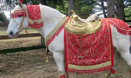 ഭാര്യവീട്ടിലേക്ക് കുതിരപ്പുറത്ത് പോവാന് പോലിസ് സംരക്ഷണം തേടി ദലിത് അഭിഭാഷകന് ഭാര്യവീട്ടിലേക്ക് കുതിരപ്പുറത്ത് പോവാന് പോലിസ് സംരക്ഷണം തേടി ദലിത് അഭിഭാഷകന്