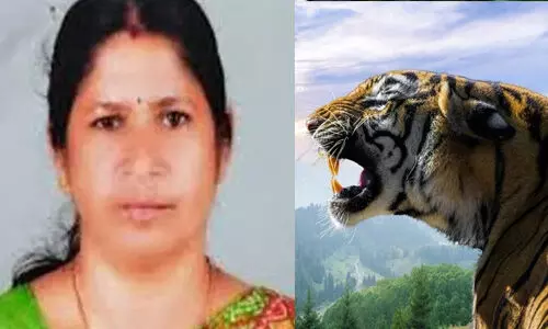 മാനന്തവാടി നഗരസഭാ പരിധിയില്‍ ഹര്‍ത്താല്‍ തുടങ്ങി