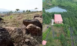 8 വര്‍ഷം, 40,000 മരങ്ങള്‍; തരിശായ കുന്നില്‍ നിന്നും നിബിഡവനത്തിലേക്കുള്ള യാത്ര