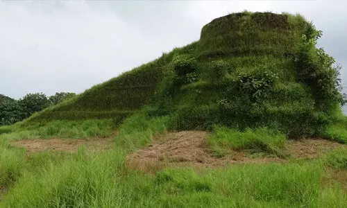 കാസര്‍ക്കോട്ടെ പുരാതന കോട്ടയില്‍ നിധി കുഴിച്ചെടുക്കാന്‍ ശ്രമം; പഞ്ചായത്ത് വൈസ് പ്രസിഡന്റ് അടക്കം അഞ്ചുപേര്‍ പിടിയില്‍
