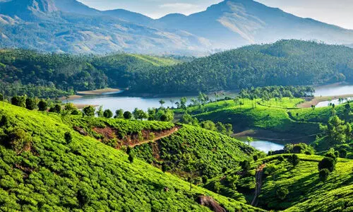 മൂന്നാറില് താപനില പൂജ്യം ഡിഗ്രിയിലേക്ക് മൂന്നാറില് താപനില പൂജ്യം ഡിഗ്രിയിലേക്ക്