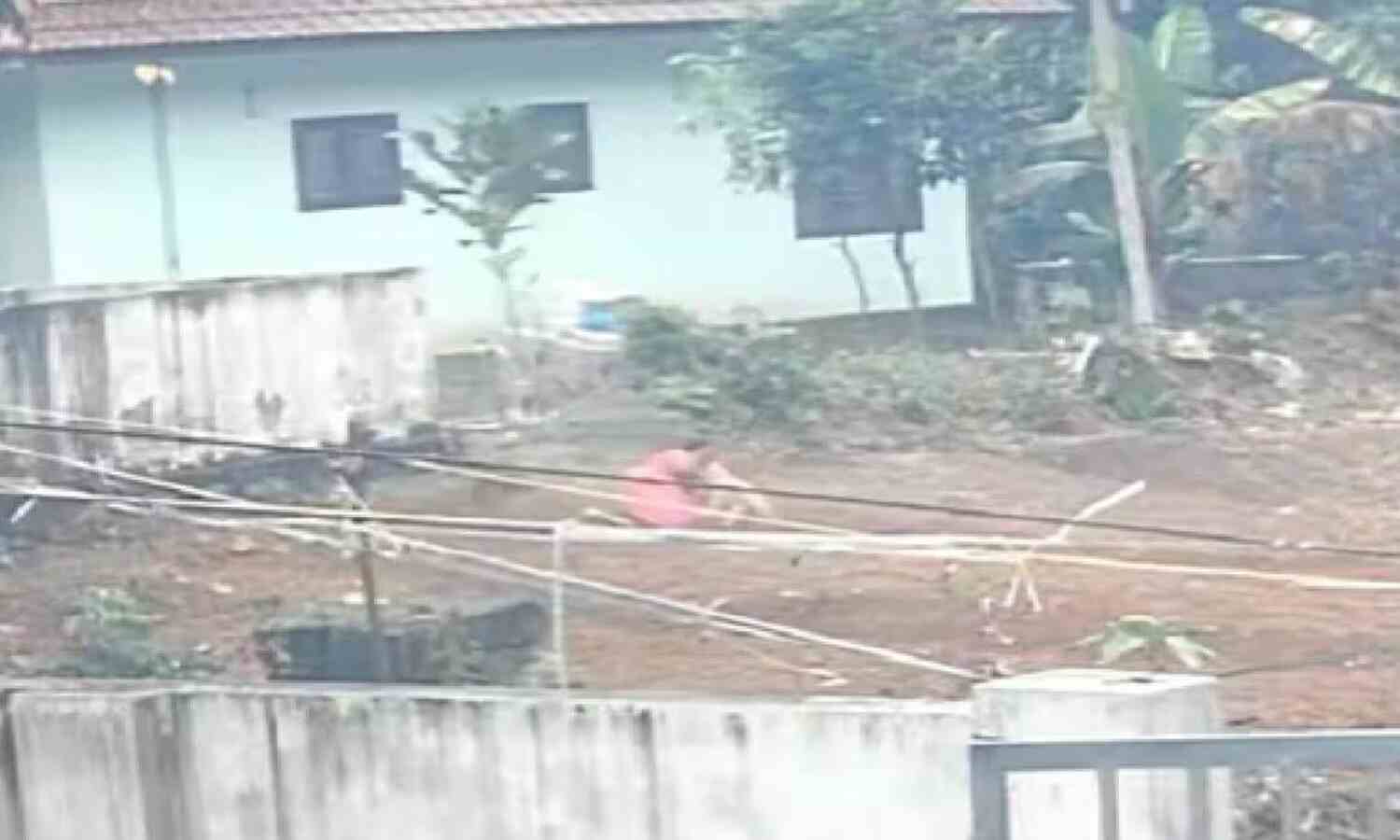 പേപ്പട്ടി ആക്രമണം; നാലു പേര്ക്ക് ഗുരുതരപരിക്ക് പേപ്പട്ടി ആക്രമണം; നാലു പേര്ക്ക് ഗുരുതരപരിക്ക്
