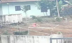 പേപ്പട്ടി ആക്രമണം; നാലു പേര്‍ക്ക് ഗുരുതരപരിക്ക്