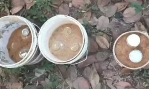 വളയത്ത് 14 സ്റ്റീല്‍ ബോംബുകളും രണ്ടു പൈപ്പ് ബോംബുകളും പിടിച്ചെടുത്തു