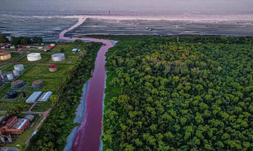അര്ജന്റീനയിലെ നീര്ച്ചാലിലെ ജലത്തിന്റെ നിറം ചുവപ്പായി (വീഡിയോ) അര്ജന്റീനയിലെ നീര്ച്ചാലിലെ ജലത്തിന്റെ നിറം ചുവപ്പായി (വീഡിയോ)