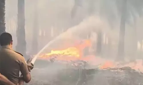 ഓയില് ഫാമില് തീപിടിത്തം; തീയിട്ടതാണെന്ന് സംശയം ഓയില് ഫാമില് തീപിടിത്തം; തീയിട്ടതാണെന്ന് സംശയം