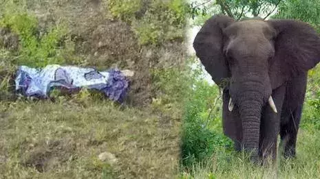 വയനാട്ടില്‍ കാട്ടാന ആക്രമണത്തില്‍ കൊല്ലപ്പെട്ട മാനുവിന്റെ ഭാര്യയെ കണ്ടെത്തി