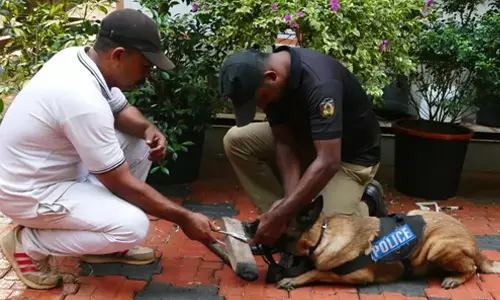 കൊടകരയിലെ അടച്ചിട്ട വീട്ടില്‍ നിന്ന് 53 പവന്‍ കവര്‍ന്നു