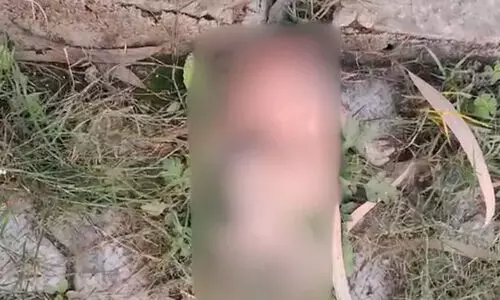 യുപിയിലെ ആശുപത്രിയില് നവജാതശിശുവിനെ നായ്ക്കള് കടിച്ചുകൊന്നു യുപിയിലെ ആശുപത്രിയില് നവജാതശിശുവിനെ നായ്ക്കള് കടിച്ചുകൊന്നു