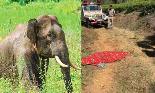 വയനാട്ടില് വീണ്ടും കാട്ടാന ആക്രമണം; ആദിവാസി യുവാവ് കൊല്ലപ്പെട്ടു (വീഡിയോ) വയനാട്ടില് വീണ്ടും കാട്ടാന ആക്രമണം; ആദിവാസി യുവാവ് കൊല്ലപ്പെട്ടു (വീഡിയോ)