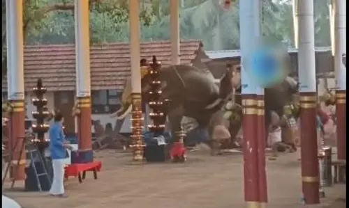 കൊയിലാണ്ടിയില്‍ ഉല്‍സവത്തിനിടെ ഒരു ആന മറ്റൊരു ആനയെ കുത്തി; തിക്കിലും തിരക്കിലും രണ്ടു മരണം (video)