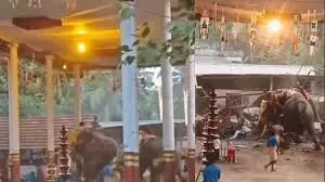 ആനയിടഞ്ഞ സംഭവം; കോഴിക്കോട് ഒരാഴ്ചത്തെ ആന എഴുന്നള്ളിപ്പുകള് റദ്ദ് ചെയ്ത് മോണിറ്ററിങ് കമ്മറ്റി ആനയിടഞ്ഞ സംഭവം; കോഴിക്കോട് ഒരാഴ്ചത്തെ ആന എഴുന്നള്ളിപ്പുകള് റദ്ദ് ചെയ്ത് മോണിറ്ററിങ് കമ്മറ്റി