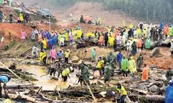 വയനാട് പുനരധിവാസം; 529.50 കോടി രൂപ അനുവദിച്ച് കേന്ദ്രം