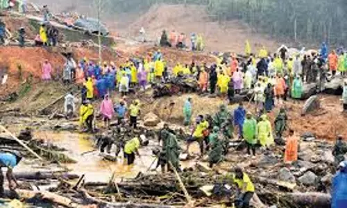 വയനാട് പുനരധിവാസം; 529.50 കോടി രൂപ അനുവദിച്ച് കേന്ദ്രം