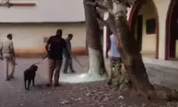 เดธเตโเดเตเดณเตโ เดตเดฐเดพเดจเตเดคเดฏเดฟเดฒเตโ เดธเตเดซเตเดเด เดตเดธเตเดคเต เดชเตเดเตเดเดฟเดคเตเดคเตเดฑเดฟเดเตเดเต; เดชเตเดฒเดธเต เดตเดฃเตโ เดตเดฟเดฆเตเดฏเดพเดฐเตโเดฅเดฟเดเตเดเต เดชเดฐเดฟเดเตเดเต เดธเตโเดเตเดณเตโ เดตเดฐเดพเดจเตเดคเดฏเดฟเดฒเตโ เดธเตเดซเตเดเด เดตเดธเตเดคเต เดชเตเดเตเดเดฟเดคเตเดคเตเดฑเดฟเดเตเดเต; เดชเตเดฒเดธเต เดตเดฃเตโ เดตเดฟเดฆเตเดฏเดพเดฐเตโเดฅเดฟเดเตเดเต เดชเดฐเดฟเดเตเดเต