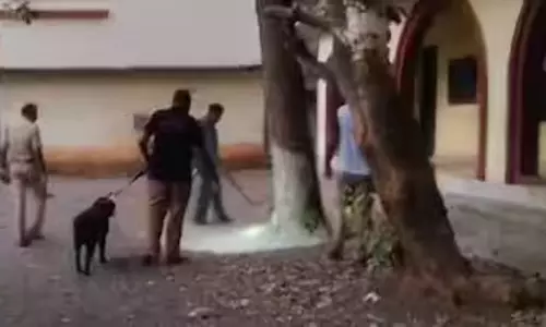 സ്കൂള് വരാന്തയില് സ്ഫോടക വസ്തു പൊട്ടിത്തെറിച്ചു; പ്ലസ് വണ് വിദ്യാര്ഥിക്ക് പരിക്ക് സ്കൂള് വരാന്തയില് സ്ഫോടക വസ്തു പൊട്ടിത്തെറിച്ചു; പ്ലസ് വണ് വിദ്യാര്ഥിക്ക് പരിക്ക്