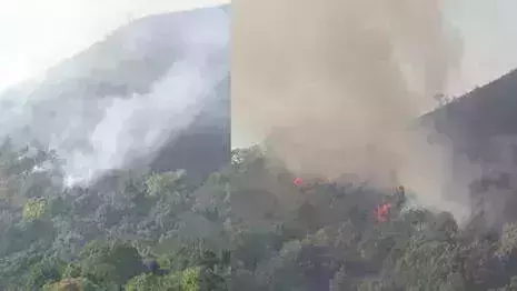 വയനാട്ടില് കാടിന് തീയിട്ടയാള് പിടിയില്; കത്തിനശിച്ചത് 10 ഹെക്ടറിലധികം പുല്മേട് വയനാട്ടില് കാടിന് തീയിട്ടയാള് പിടിയില്; കത്തിനശിച്ചത് 10 ഹെക്ടറിലധികം പുല്മേട്