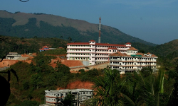 കടുവാ ഭീതി; ഒരാഴ്ചത്തേക്ക് തലപ്പുഴ എന്‍ജിനീയറിങ് കോളജും ഹോസ്റ്റലും അടച്ചു; ക്ലാസ്സുകള്‍ ഓണ്‍ലൈന്‍