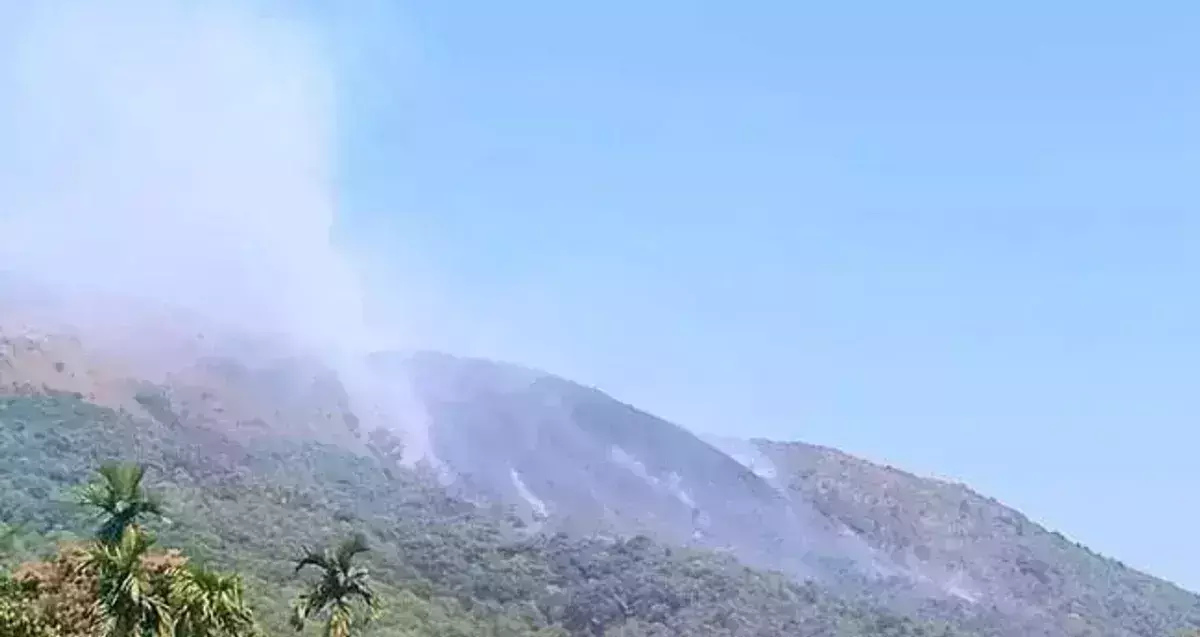 വയനാട് തലപ്പുഴയിലെ കാട്ടുതീ; ബോധപൂര്‍വ്വം തീവെച്ചതാണെന്ന് സംശയിക്കുന്നു: ഡിഎഫ്ഒ